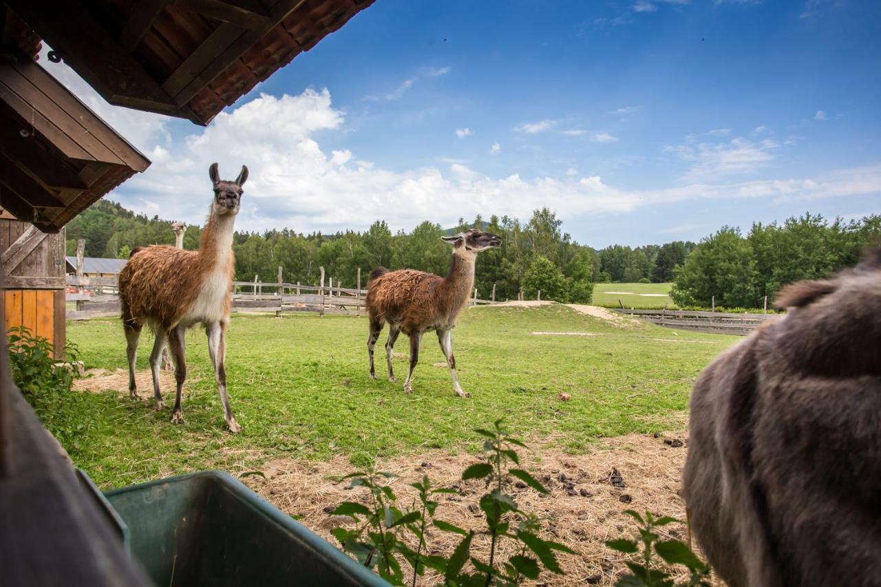 Resort Malevil Jablonné v Podještědí Esterno foto
